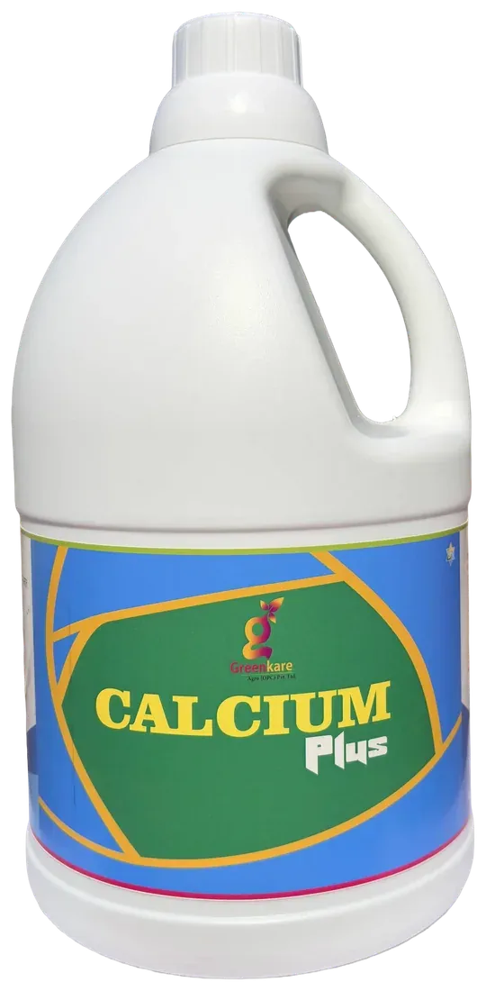 Calcium Plus pack