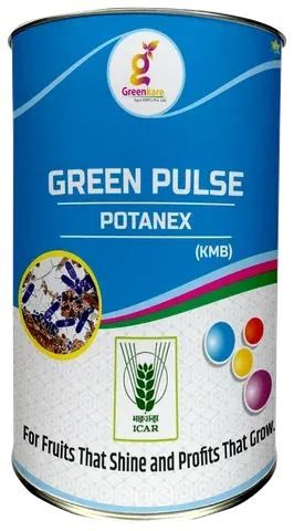Potanex pack