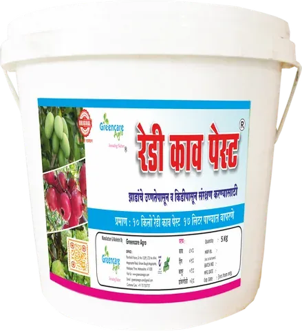 Ready Kav Paste pack