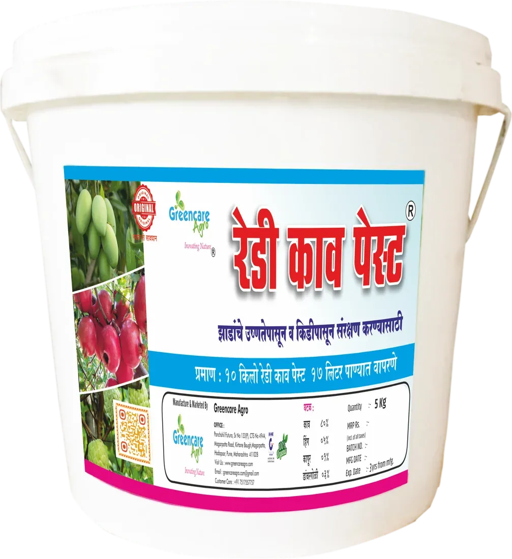 Ready Kav Paste pack