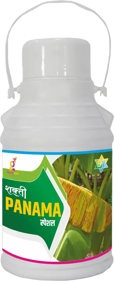 Shakti Panama Special pack